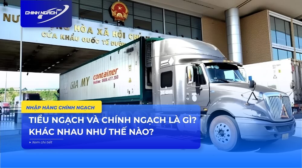 Tiểu ngạch là gì? Chính ngạch là gì?