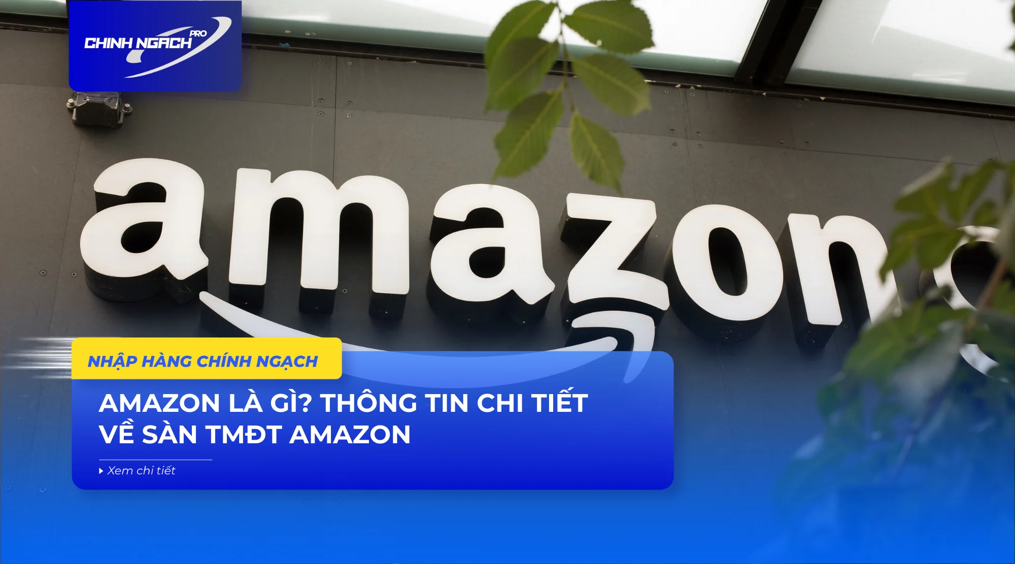 Amazon là gì? Thông tin chi tiết về sàn TMĐT Amazon